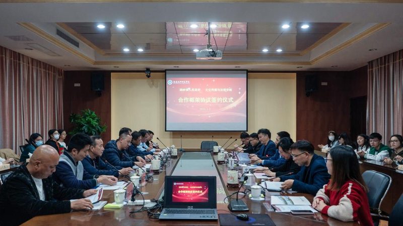 直播代运营效果评估：如何精准衡量，助力企业决策