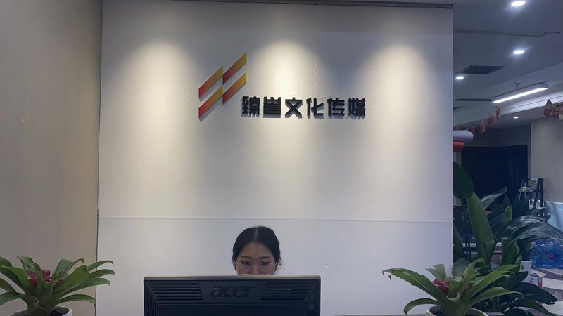 影视制作定制服务，广州市场行情解析